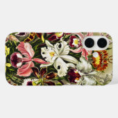 Coques Case-Mate iPhone Orchidées, Orchidée Denusblumen Ernst Haeckel (Verso (horizontal))