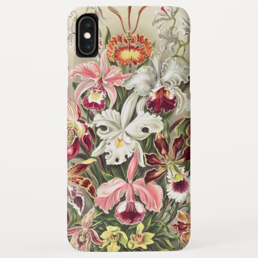 Coques Case-Mate iPhone Orchidées, Orchidée Denusblumen par Ernst Haeckel (Dos)