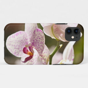 Etui iPhone Case-Mate Orchidées par Shirley Taylor