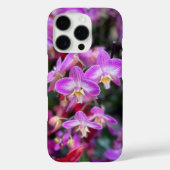 Coques Case-Mate iPhone Orchidées violettes et blanches de Hollande, (Verso)