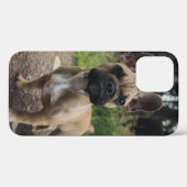 Coques Case-Mate iPhone Oreiller à lancer de chien de taureau français (Verso (horizontal))