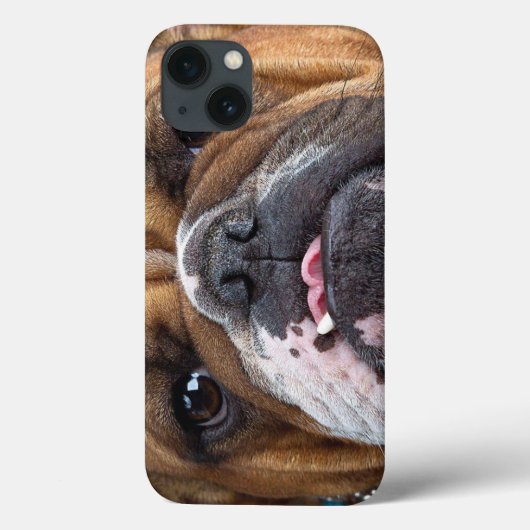 Coques Case-Mate iPhone Oreillers à lancer de Bulldog anglais (Verso)