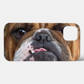 Coques Case-Mate iPhone Oreillers à lancer de Bulldog anglais (Verso (horizontal))