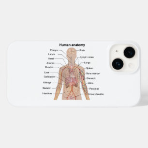 Coque Pour iPhone 14 Organes internes Anatomie du corps humain