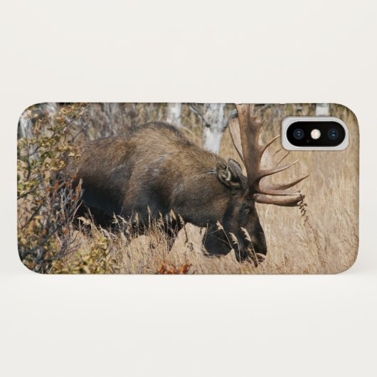 Coques Case-Mate iPhone Orignal mâle en pâture (Dos (Horizontal))