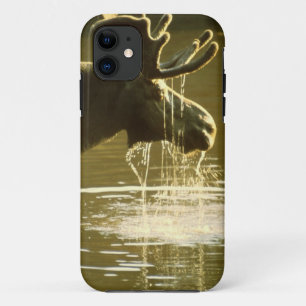 Etui iPhone Case-Mate Orignaux potables - couverture de l'iPhone 5 de
