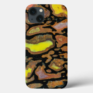 Case-Mate iPhone Case Os de dinosaure multicolore
