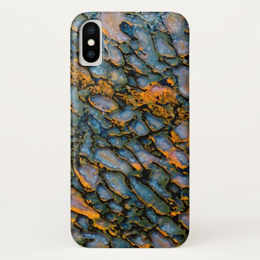 Coques Case-Mate iPhone Os de dinosaure pétrifié (Dos)