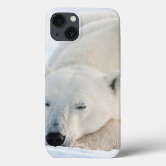 Coques Case-Mate iPhone Ours blanc en hiver (Verso)