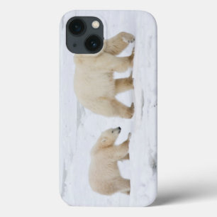 Case-Mate iPhone Case Ours blancs femelles et deux petits animaux 2