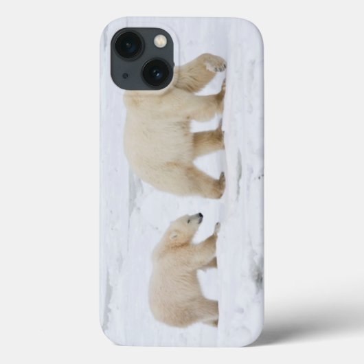 Coques Case-Mate iPhone Ours blancs femelles et deux petits animaux 2 (Verso)