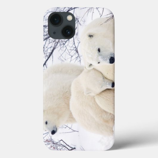 Coques Case-Mate iPhone Ours blancs femelles et deux petits animaux 3 (Verso)