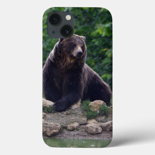 Coques Case-Mate iPhone Ours Brown (Verso)