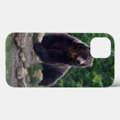 Coques Case-Mate iPhone Ours Brown (Verso (horizontal))