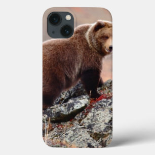 Coques Pour iPhone Ours Brown de Denali