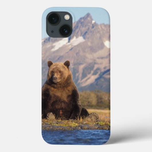 Coques Case-Mate iPhone ours brun, arctos d'Ursus, ours gris, Ursus (Verso)