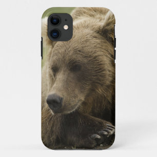 Coque Case-Mate Pour iPhone Ours brun, ou Ours grizzly côtier, Ursus