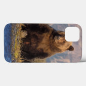 Coques Case-Mate iPhone ours brun, Ursus arctos, grizzly, Ursus (Verso (horizontal))