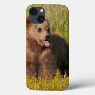 Case-Mate iPhone Case Ours drôle de bébé des images de Getty