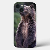 Coques Case-Mate iPhone Ours gris debout (Verso)