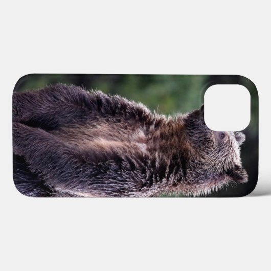 Coques Case-Mate iPhone Ours gris debout (Verso (horizontal))