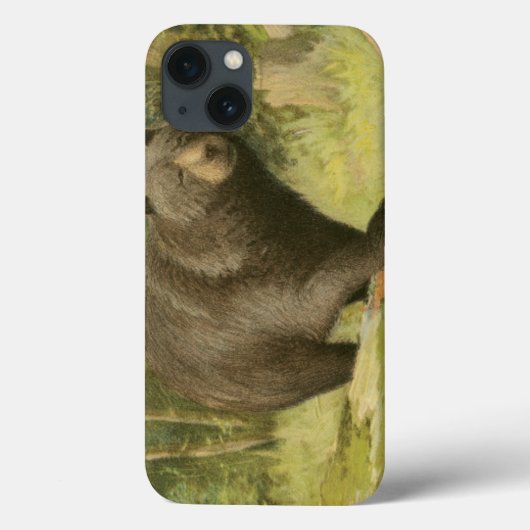 Coques Case-Mate iPhone Ours noir sur un tronc d'arbre (Verso)