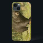 iPhone 13 Case Ours noir sur un tronc d'arbre<br><div class="desc">Ce dessin d'Oliver Kemp illustre un ours brun qui marche sur un arbre tombé dans une forêt. Les couleurs vert pastel sont apaisantes pour l'oeil et créent une agréable sensation de chaleur de l'éveil de la nature au printemps. Un grand ajout à tout décor rustique de maison!</div>