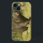 iPhone 13 Case Ours noir sur un tronc d'arbre<br><div class="desc">Ce dessin d'Oliver Kemp illustre un ours brun qui marche sur un arbre tombé dans une forêt. Les couleurs vert pastel sont apaisantes pour l'oeil et créent une agréable sensation de chaleur de l'éveil de la nature au printemps. Un grand ajout à tout décor rustique de maison!</div>