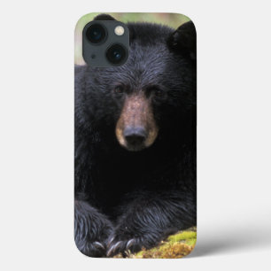 Etui iPhone Case-Mate Ours noir sur une vieille bille de bois dans la