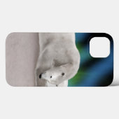 Coques Case-Mate iPhone Ours polaire au repos (Verso (horizontal))