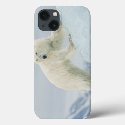 Coques Case-Mate iPhone Ours polaire en été (Verso)