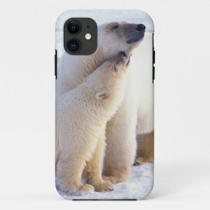 Case-Mate iPhone Case Ours polaire femelle avec ourson, meute