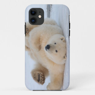 Etui iPhone Case-Mate ours polaire, Ursus maritimus, ourson roulant 3