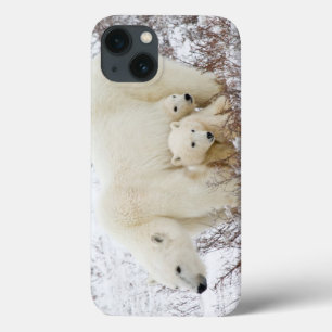 Coques Pour iPhone Ours polaires femelle et deux oursons