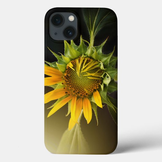 Coques Case-Mate iPhone Ouverture de tournesol en pleine floraison (Verso)