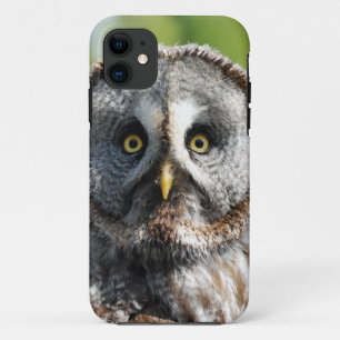 Etui iPhone Case-Mate Owl_20180219_by_JAMFoto