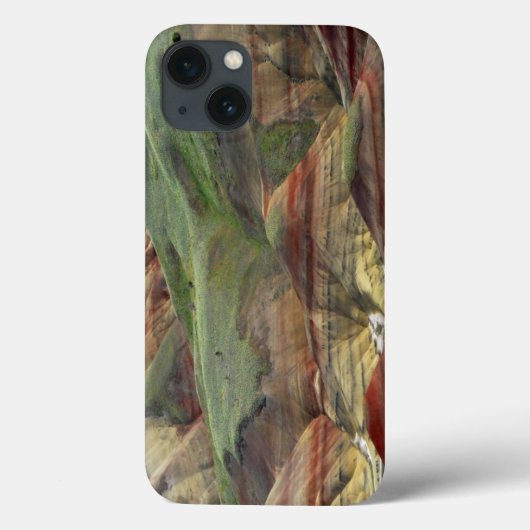 Coques Case-Mate iPhone PainPeinture Hills, John Day Fossil Beds, Mitchell (Verso)