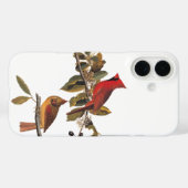Coques Case-Mate iPhone Paire cardinale Audubon en amandiers sauvages (Verso (horizontal))