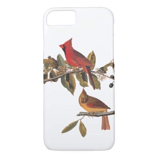 Coques Case-Mate iPhone Paire cardinale Audubon en amandiers sauvages (Dos)