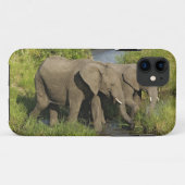 Coques Case-Mate iPhone Paire d'éléphants africains Masai Mara (Dos (Horizontal))