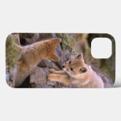 Coques Case-Mate iPhone Paires sud-américaines de Fox gris (griseus de (Verso (horizontal))