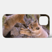 Coques Case-Mate iPhone Paires sud-américaines de Fox gris (griseus de (Verso (horizontal))