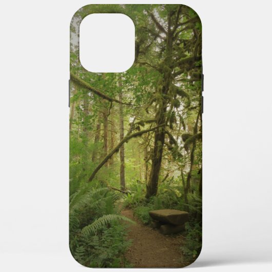 Coques Case-Mate iPhone Paisible Green Forest Trail Washington (Verso)