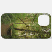 Coques Case-Mate iPhone Paisible Green Forest Trail Washington (Verso (horizontal))