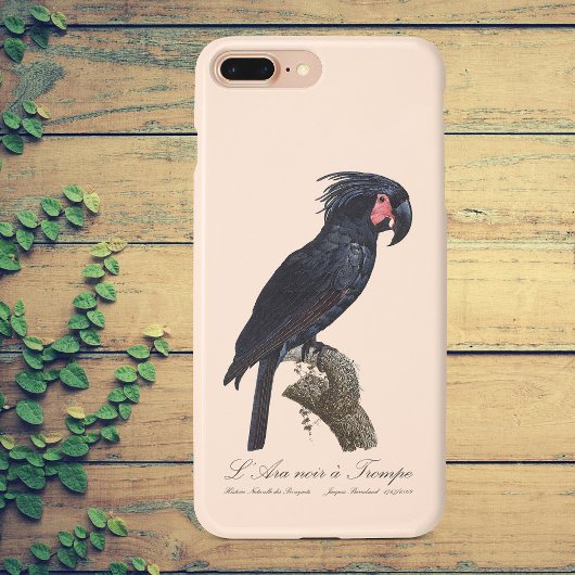 Coques Case-Mate iPhone Palmisano Cacatoès, perroquet Probosciger aterrimu