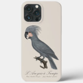 Coques Case-Mate iPhone Palmiste noir, Probosciger aterrimus (Verso)
