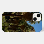 Coques Case-Mate iPhone Palms perdus Oasis I au parc national de Joshua Tr (Verso (horizontal))