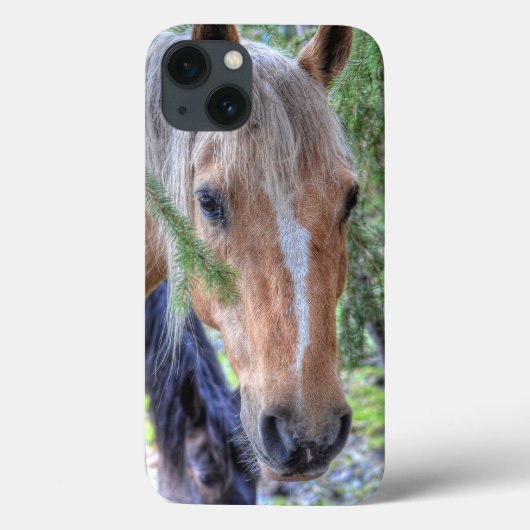 Coques Case-Mate iPhone Palomino Paint Horse et Branches pour les amateurs (Verso)