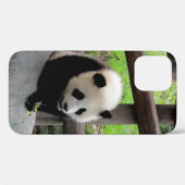 Coques Case-Mate iPhone panda (Verso (horizontal))