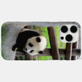 Coques Case-Mate iPhone Panda (Verso (horizontal))